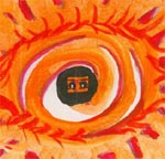 The Solar Eye